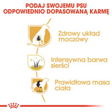 ROYAL CANIN miniatiūrinių šnaucerių suaugusių šunų sausas ėdalas - 3 kg