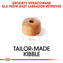 ROYAL CANIN SHN Breed Labrador Junior dry dog food - 12 kg