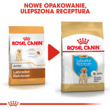 ROYAL CANIN SHN Breed Labrador Junior sausas šunų maistas - 12 kg