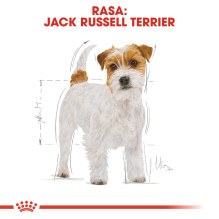 ROYAL CANIN Jack Russell Terrier sausas šunų maistas suaugusioms moterims - 1,5 kg