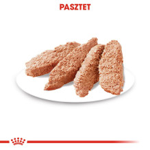 ROYAL CANIN Dermacomfort - Šlapias šunų ėdalas - 12 x 85 g