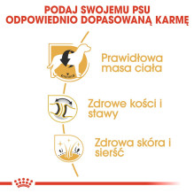 ROYAL CANIN Labrador Adult - sausas šunų ėdalas - 12 kg ROYAL CANIN Labrador Adult - sausas šunų ėdalas - 12 kg