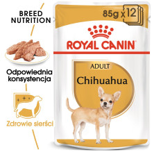ROYAL CANIN Čihuahua - pakuotė 12 x 85 g