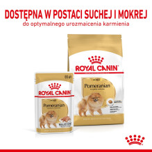 Royal Canin Pomeranian Adult - sausas šunų maistas - 3 kg