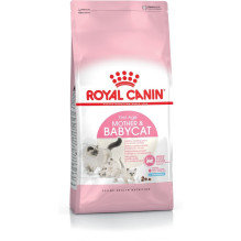 Royal Canin Mother Babycat sausas kačių maistas suaugusioms paukštienos veislėms, 4 kg