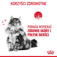ROYAL CANIN HairSkin Care - sausas kačių ėdalas - 4 kg
