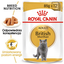ROYAL CANIN Britų trumpaplaukių šunų pašaras pakuotėje 12 x 85 g ROYAL CANIN Britų trumpaplaukių šunų pašaras pakuotėje 12 x 85 g