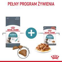 Royal Canin Hairball Care sausas kačių ėdalas 2 kg