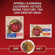 PURINA One Mini sausas šunų ėdalas suaugusiam šuniui su jautiena ir ryžiais, 800 g