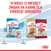 „Royal Canin Medium Puppy“ sausas maistas šuniukams, 4 kg, su kukurūzais ir paukštiena. „Royal Canin Medium Puppy“ sausas maistas šuniukams, 4 kg, su kukurūzais ir paukštiena.