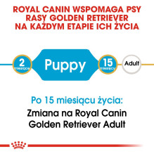 ROYAL CANIN auksaspalvių retriverių šuniukų sausas šunų maistas – 12 kg