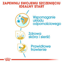 ROYAL CANIN auksaspalvių retriverių šuniukų sausas šunų maistas – 12 kg