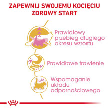 ROYAL CANIN Meino meškėnų kačiukams – sausas kačių ėdalas – 2 kg ROYAL CANIN Meino meškėnų kačiukams – sausas kačių ėdalas – 2 kg