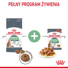 Royal Canin Digestive Care sausas kačių ėdalas su žuvimi, paukštiena, ryžiais ir daržovėmis, 4 kg