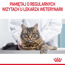 Royal Canin Digestive Care sausas kačių ėdalas su žuvimi, paukštiena, ryžiais ir daržovėmis, 4 kg