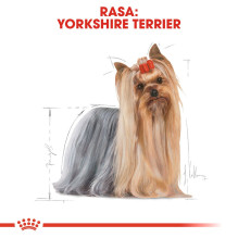 ROYAL CANIN BHN Jorkšyro terjerų sausas šunų maistas suaugusiems 3 kg