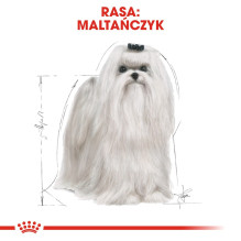 ROYAL CANIN Maltos bišonams skirtas sausas šunų maistas suaugusiems – 1,5 kg