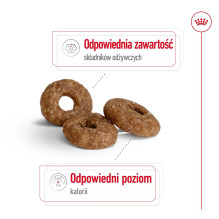 ROYAL CANIN Mini Aging Adult +12 - sausas šunų ėdalas - 3,5 kg