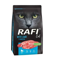 DOLINA NOTECI Rafi Cat su...