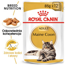 ROYAL CANIN FBN Meino meškėnų kačių šlapias ėdalas - pakeliai 12 x 85 g