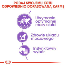 ROYAL CANIN FHN sterilizuotas padaže - šlapias ėdalas suaugusioms katėms - 12 x 85 g