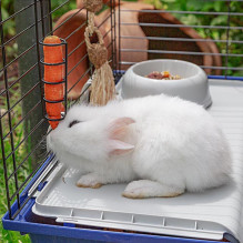 FERPLAST Rabbit 120 - Cage FERPLAST Rabbit 120 - Cage