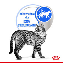 ROYAL CANIN Indoor Sterilized - Šlapias ėdalas suaugusioms katėms - Gabalėliai padaže 12 x 85 g