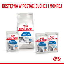 ROYAL CANIN Indoor Sterilized - Wet food for adult cats - Chunks in sauce 12x85 g