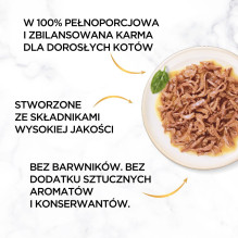 PURINA Gourmet Gold Succulent Delights šlapias kačių ėdalas su vandenyno žuvimi, 85 g