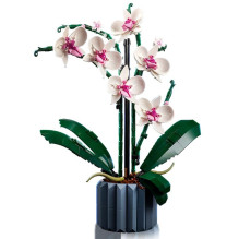 LEGO ICONS 10311 ORCHIDĖJA