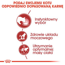 ROYAL CANIN FHN Instictive - šlapias paštetas suaugusioms katėms - 12 x 85 g