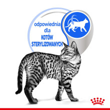ROYAL CANIN FHN Indoor želė - šlapias ėdalas suaugusioms katėms - 12 x 85 g ROYAL CANIN FHN Indoor želė - šlapias ėdalas suaugusioms katėms - 12 x 85 g