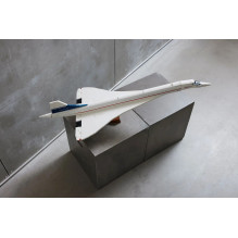 LEGO Icons 10318 Concorde