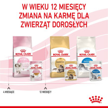 „Royal Canin FHN Kitten Instinctive“ kačiukų šlapias ėdalas padaže, 12 x 85 g „Royal Canin FHN Kitten Instinctive“ kačiukų šlapias ėdalas padaže, 12 x 85 g