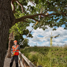 Grandininis pjūklas 18 V DCMPS567N-XJ DEWALT Grandininis pjūklas 18 V DCMPS567N-XJ DEWALT