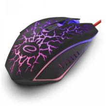 Esperanza EGM211R pelė, dešinės rankos, USB A tipo, optinė, 2400 DPI