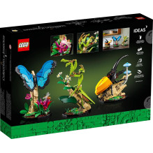 LEGO IDEAS 21342 Vabzdžių kolekcija LEGO IDEAS 21342 Vabzdžių kolekcija