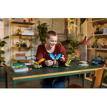 LEGO IDEAS 21342 The Insect Collection LEGO IDEAS 21342 The Insect Collection