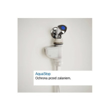 Laisvai pastatoma indaplovė BOSCH SPS4EKI24E