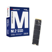 SSD diskas Biostar M760 256 GB