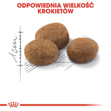 ROYAL CANIN Sterilised 7+ - sausas kačių ėdalas - 10 kg