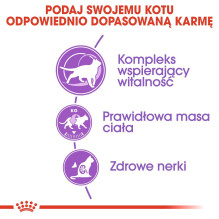 ROYAL CANIN Sterilised 7+ - sausas kačių ėdalas - 10 kg