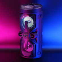 SQUEAK KARAOKE SPEAKER HARMONY BT 5.0 SQ1004