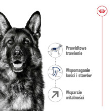 ROYAL CANIN Maxi Adult 5+ - sausas šunų maistas - 15 kg