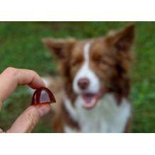 GELOREN Small dog Joints - dog vitamins - 180g