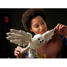 LEGO HARRY POTTER 76391 HOGWARTS ICONS – KOLEKCININKO LEIDIMAS