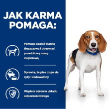 HILL'S Canine r / d 4kg