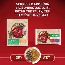 PURINA One Mini / Small Active Beef - šlapias šunų ėdalas - 85 g