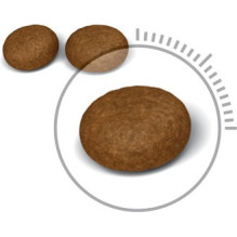 ROYAL CANIN HairSkin Care suaugusioms katėms – sausas ėdalas – 400 g