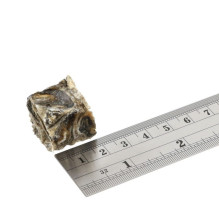 FISH4DOGS „Dental Sea Jerky Fish Tiddlers“ – šunų skanėstas – 575 g